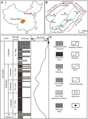 Clay mineral transformation mechanism modelling of shale reservoir in Da’anzhai Member, Sichuan Basin, Southern China